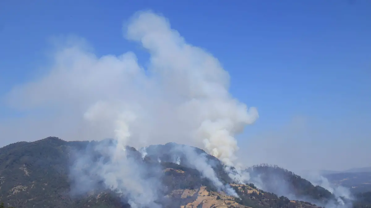 Incendio consume bosque y viviendas en comunidades de Zacatlán10